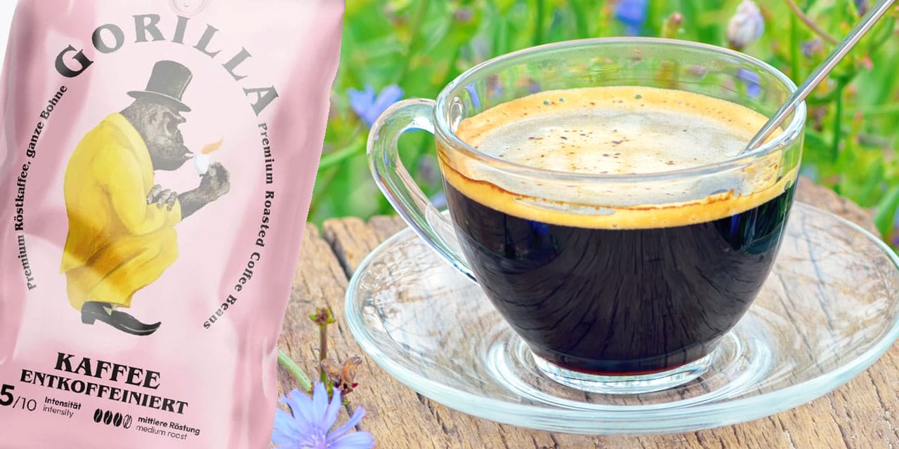 Cikorija kava ali brezkofeinska kava Katera je boljša